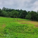 농막목장 이미지