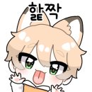 e편한드림 공인중개사사무소 이미지