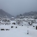 승민농장 이미지