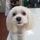 영인광고기획