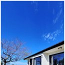 제주살가 이미지