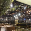 식당3선 앞 횡단보도 | 부산 가족외식 룸있는 식당3선 센텀점 생돼지갈비 내돈내산