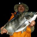 광어랑우럭이랑 이미지