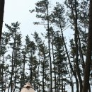 동해검도관 | [111th] 몽산포