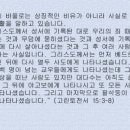 아나스타시스 네이버블로그