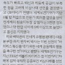더블링 이미지