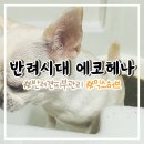 강아지 입욕제 강아지피부건강 반려시대 에코헤나 후기
