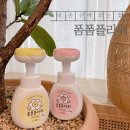 플라워순 이미지