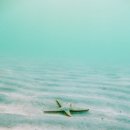 (주)국토환경연구원 이미지