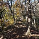 만덕산 등산로 입구 이미지