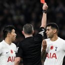 고양이나라 이미지