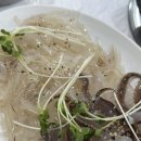 송정산오징어 | 광주송정역 서해수산 본점, 오징어회에 물회까지 야무지게