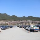 송해공원 제3주차장(1) 이미지