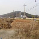 여주-0666 머니투데이
