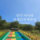 영덕 아이와 목재문화체험장에서 유아숲체험원 썰매장까지