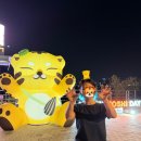 순영병원 | 2026년 2분기 빠순이 생활 갈무리
