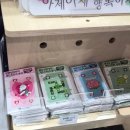 2026 불교박람회 첫날 오픈런 후기