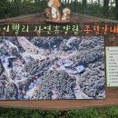레포밸리 이미지
