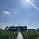 전주근교 물놀이 [김제지평선마린리조트]