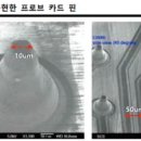 프로텍
