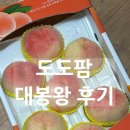 왕팜 | 농라 대봉왕 복숭아 도도팜 딱복 후기