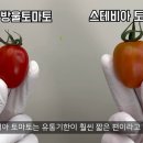 더달콤토마토