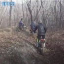 와일드라이더스