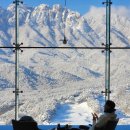 더엠브로시아 이미지