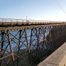 가비오타(GAVIOTA) 이미지