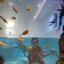 피코 키즈풀빌라 부산 이미지