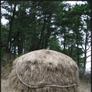 하늬보름 이미지