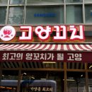 고기극찬고양관산점 | [가양역 맛집] 양꼬치 입문자도 반한 등촌동 맛집 고양꼬치 가양점