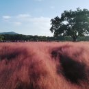 문무태권도 이미지