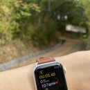 삼일중 입구 이미지