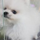 계족산로52번길 이미지