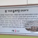 봉짜장 이미지