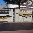 천곡황금박쥐동굴 이미지