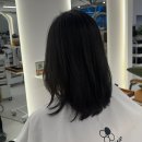 헤어베이직(야간) | 광명동미용실 네이플헤어 무코타클리닉 머릿결관리 추천