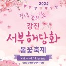 2024 핑크빛 봄의 미소 강진 서부 해당화 봄꽃 축제-강진군 군동면 남미륵사 일원 이미지