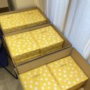 엘바이오 주식회사 이미지