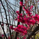 율곡교육원 이미지