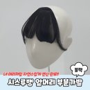 쇼핑뱅 이미지