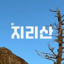 초원모텔 | 📌지리산 1박2일 능선 산행 코스 : 거림→세석→천왕봉→중산리 실제 후기