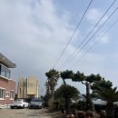 광해수산 | 제주 서귀포 표선 현지인 맛집 광어다 내돈내산 방문 후기