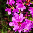 분당메디칼약국 이미지