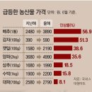 그냥 심심해서요. (15673) 전력 예비율 10%선 깨져 이미지