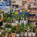 삼성게임랜드 이미지