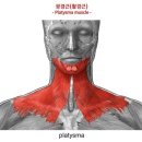 청담청초성형외과의원 이미지