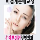 예쁜미인성형외과 이미지