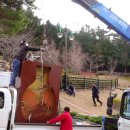 거칠산국을 기억하다 이미지